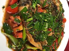 -生态苑农庄(十里画廊遇龙河店)