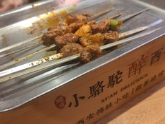 -福苗小骆驼烧烤(莲湖路店)