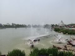-荷兰花海