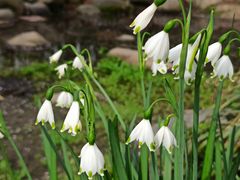 -共青国家森林公园-售票处