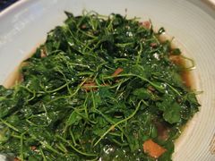 -金典银峰老鹅馆·昆山菜(亭林公园店)