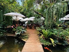 -Fern Forest Cafe