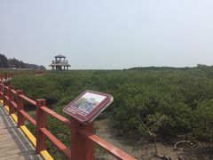 -北海金海湾红树林生态旅游区