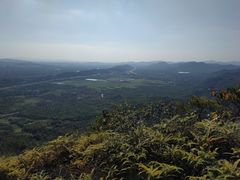 -风云岭森林公园