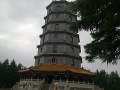 -塞罕坝国家级自然保护区