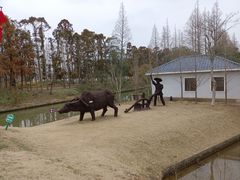 -上海长兴岛郊野公园
