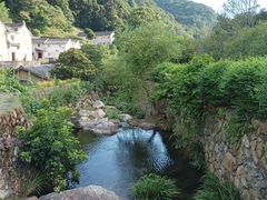 -雁南飞茶田景区