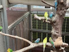 -正佳雨林生态植物园
