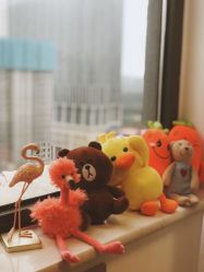 -YIMEI ART半永久纹眉·野生眉