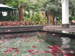 -厦门日月谷温泉渡假村