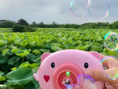 -梁鸿国家湿地公园