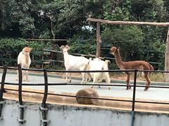 -南昌动物园