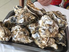 -渔民船说·北塘海鲜·天津菜·海肠捞饭(北塘古镇店)