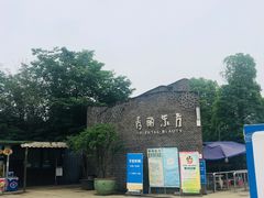 -秀丽东方