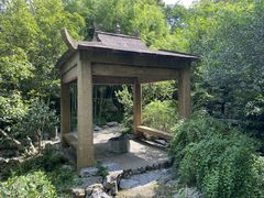 -汇龙潭