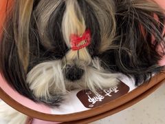 -贝来恩24H动物医院·转诊中心(稻香路店)