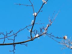 -终南山南五台景区