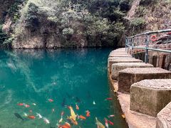 -大奇山国家森林公园