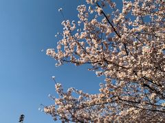 -同济大学四平路校区游泳馆