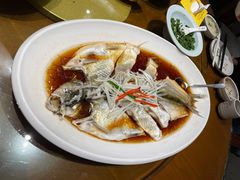 翘嘴鲌鱼-丹江渔村(望京店)