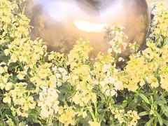 -比斯特苏州购物村精品奥特莱斯