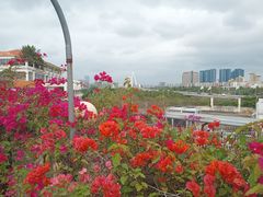 -马大胡子清真西北菜