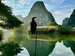 -明仕田园