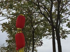 -天适樱花悠乐园