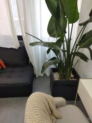 -DELAVAY黛乐薇抗衰中心