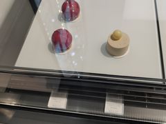 -BLACKSWAN黑天鹅(环球店)