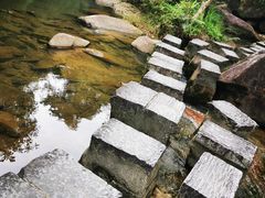 -广州白江湖森林公园