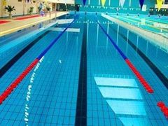 -重庆市奥林匹克体育中心-游泳跳水馆