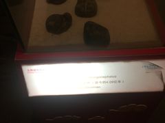 -上海海洋水族馆