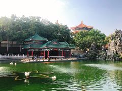 -广东圆玄道观