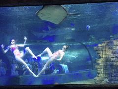 -梦幻海洋王国(吾悦广场张家港店)