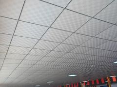 -呼兰河口湿地公园