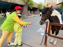 -宝燕乐园(闵行旗舰店)