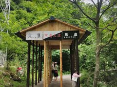 -青峰峡国家森林公园