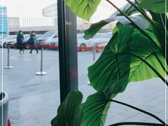 -必胜客(龙之梦购物中心店)