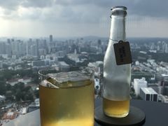 -新加坡瑞士史丹福酒店