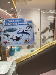 -奈尔宝·国风主题儿童乐园·亲子餐厅(豫园商城店)