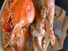 -大连君悦酒店·星海湾壹号Dalian·Dalian(星海广场店)