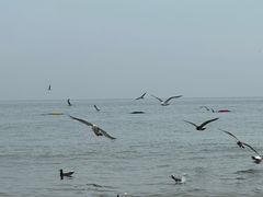 -那香海钻石沙滩浴场