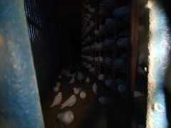 -青城公园