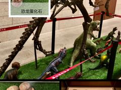 -珠海市博物馆