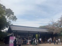 -名古屋城