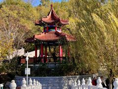 -大连植物园