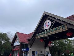 -上海海湾国家森林公园