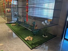 -映像威海·威海宴(威高广场店)