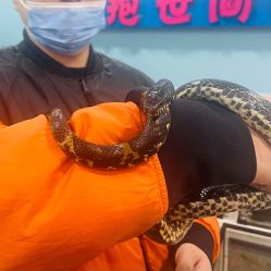 -Moni星球萌宠·小马宝莉·灵蛇·高端高阶全萌宠互动体验俱乐部(红豆国际广场店)